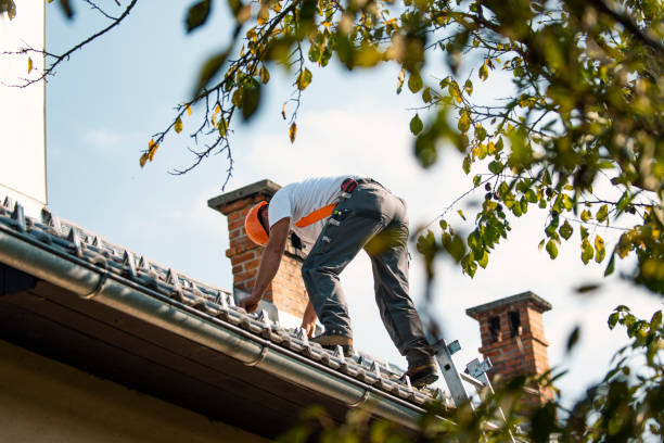 Best Roof Repair Services  in St Johns, MI