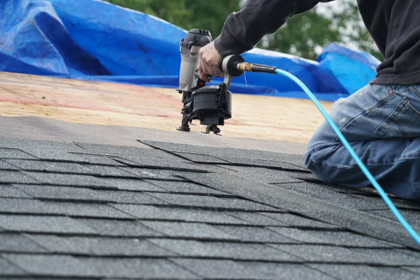 Best Roof Repair Specialists  in St Johns, MI