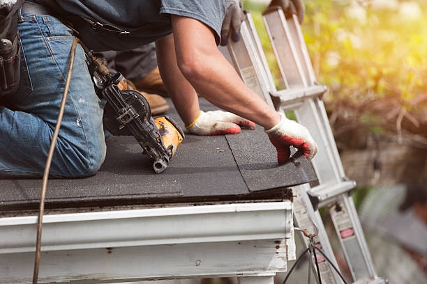 Best Roof Waterproofing Services  in St Johns, MI
