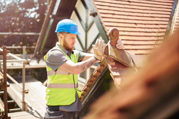 Best Commercial Roofing Services  in St Johns, MI