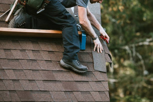 Best Emergency Roof Repair  in St Johns, MI